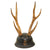 Original Imperial Japanese SNLF Antler Sword Stand Cutsom-Made for IJN Special Naval Landing Force Officer - Base Modeled After Type 90 Helmet with Landing Force Insignia Original Items