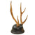 Original Imperial Japanese SNLF Antler Sword Stand Cutsom-Made for IJN Special Naval Landing Force Officer - Base Modeled After Type 90 Helmet with Landing Force Insignia Original Items