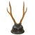 Original Imperial Japanese SNLF Antler Sword Stand Cutsom-Made for IJN Special Naval Landing Force Officer - Base Modeled After Type 90 Helmet with Landing Force Insignia Original Items