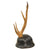 Original Imperial Japanese SNLF Antler Sword Stand Cutsom-Made for IJN Special Naval Landing Force Officer - Base Modeled After Type 90 Helmet with Landing Force Insignia Original Items