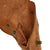 Original U.S. WWII M1916 .45 Colt 1911 Leather Holster by Sears Saddlery Original Items
