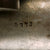 Original U.S. Spencer Model 1865 Repeating Infantry Rifle in .56-56 Spencer Rimfire - Serial 5773 Original Items
