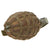Original U.S. Pre-WWII Inert Early MkII Pineapple Fragmentation Grenade With WWI Era “Cutback” Fuze Original Items