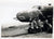 Original U.S. WWII B-17 B-24 Bomber & Fighter Aircraft Nose Art Photograph Collection 4”x5” - 20 Photos Original Items