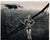 Original U.S. WWII B-17 B-24 Bomber & Fighter Aircraft Nose Art Photograph Collection 4”x5” - 20 Photos Original Items