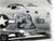 Original U.S. WWII B-17 B-24 Bomber Aircraft Nose Art Photograph Collection 4”x5” - 20 Photos Original Items