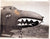 Original U.S. WWII B-17 / B-24 Bomber Aircraft Nose Art Photograph Collection 4”x5” - 19 Photos Original Items