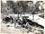 Original U.S. WWII Unpublished Photograph Collection of Marines/Soldiers Posing With Downed Japanese Aircraft and Special Devices Division Recognition “Playing Cards” - 14 Items Original Items
