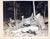 Original U.S. WWII Unpublished Photograph Collection of Marines/Soldiers Posing With Downed Japanese Aircraft and Special Devices Division Recognition “Playing Cards” - 14 Items Original Items
