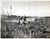 Original U.S. WWII Unpublished Photograph Collection of Marines/Soldiers Posing With Downed Japanese Aircraft and Special Devices Division Recognition “Playing Cards” - 14 Items Original Items