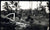 Original U.S. WWII Unpublished Photograph Collection of Marines/Soldiers Posing With Downed Japanese Aircraft and Special Devices Division Recognition “Playing Cards” - 14 Items Original Items