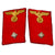 Original German WWII NSDAP Regional District Work Leader Matched Pair of Collar Tabs - Arbeitsleiter Original Items