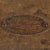 Original U.S. WWII USAAF Enameled Portable Mess Set in Transit Chest - By Everwear Trunk & Luggage Co. - Dated 1942 Original Items