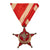 Original Turkish WWI Gallipoli Star Ottoman War Enamel Medal with Austrian Style Mount Ribbon Original Items