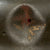 Original German WWII Battle Damaged M35 Single Decal Luftwaffe Helmet with 1940 Dated 56cm Liner - Stamped SE64 Original Items