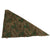 Original German WWII Zeltbahn Tent Quarter & Poncho in Splinter Pattern Reversible Camouflage Original Items