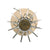 Original U.S. Vietnam War INERT 81mm Mortar M301A3 Illumination Round with Deactivated Fuse - Dated 1966 Original Items