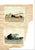 Original U.S. WWI Era Curtiss JN Jenny Framed Aircraft Fabric 414 with Crash Photographs - 25½ x 59½” Original Items