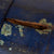 Original British War of 1812 Era Wooden Canteen with Period Over-Painted Unit Markings Original Items