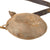 Original U.S. Indian Wars / Spanish-American War Unit-Marked M1878 Canteen with Leather Shoulder Strap - 19th Regiment, Company H Original Items