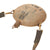 Original U.S. Indian Wars / Spanish-American War Unit-Marked M1878 Canteen with Leather Shoulder Strap - 19th Regiment, Company H Original Items