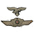 Original German WWII Luftwaffe Officers Embroidered Bullion Insignia Set - Uniform Breast Eagle and Cap Winged Wreath Original Items