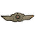 Original German WWII Luftwaffe Officers Embroidered Bullion Insignia Set - Uniform Breast Eagle and Cap Winged Wreath Original Items
