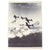 Original U.S. WWII Vought F4U Corsair Pilot Autograph Lot with Two Great Group Signature Photos Original Items