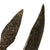 Original Indo-Persian Battle Axe Tabar Relic Head & Pike with Replaced Shaft Original Items