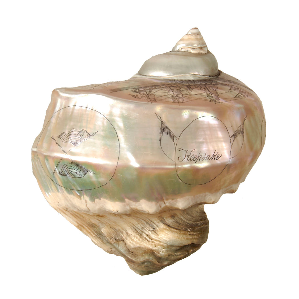Original U.S. Pre-Civil War USS Merrimack Sailor Scrimshawed Shell “Keepsake” with Outstanding Motif of Ship - Burned & Was Rebuilt as CSS Virginia in 1861 & Fought in First Engagement Between Ironclad Warships Original Items