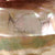 Original U.S. Pre-Civil War USS Merrimack Sailor Scrimshawed Shell “Keepsake” with Outstanding Motif of Ship - Burned & Was Rebuilt as CSS Virginia in 1861 & Fought in First Engagement Between Ironclad Warships Original Items