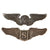 Original U.S. WWII US Army Air Forces Aviator Sterling-Marked Aircrew & Service Pilot Wings by LGB - Lot of 2 Original Items