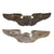 Original U.S. WWII US Army Air Forces Aviator Sterling-Marked Navigator Wings by Levelle & Pilot Wings by Bell - Lot of 2 Original Items