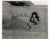 Original U.S. WWII AAF Nose Art Photo Collection with Fantastic Artwork - 19 Photos Total Original Items
