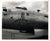 Original U.S. WWII AAF Nose Art Photo Collection with Fantastic Artwork - 19 Photos Total Original Items