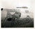 Original U.S. WWII AAF Nose Art Photo Collection with Fantastic Artwork - 19 Photos Total Original Items