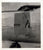 Original U.S. WWII AAF Nose Art Photo Collection with Fantastic Artwork - 19 Photos Total Original Items