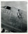 Original U.S. WWII AAF Nose Art Photo Collection with Fantastic Artwork - 19 Photos Total Original Items