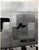 Original U.S. WWII AAF Nose Art Photo Collection with Fantastic Artwork - 19 Photos Total Original Items
