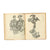 Original U.S. Pre WWII 1st Edition "The New Order" Anti-Axis Political Cartoon Collection Book by Arthur Szyk with Worn Dust Cover Original Items