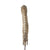 Original British Napoleonic Regimental Bandman’s Saber with Scabbard & Shrapnel Strike on Handle - Purportedly Recovered from Waterloo Battlefield in 1815 Original Items