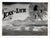 Original U.S. WWII AAF Nose Art Photo Collection with Fantastic Suggestive Artwork - 21 Photos Total Original Items