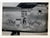 Original U.S. WWII AAF Nose Art Photo Collection with Fantastic Suggestive Artwork - 21 Photos Total Original Items