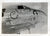 Original U.S. WWII AAF Nose Art Photo Collection with Fantastic Suggestive Artwork - 21 Photos Total Original Items