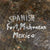 Original Mexican Mid-19th Century Era Bronze Mortar Shell Found at Fort Michoacán - Rare Original Items