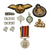 Original Rhodesian Bush War to Modern Era Military Insignia Lot with Medal, Belt Pins, & Patches Original Items