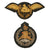 Original Rhodesian Bush War to Modern Era Military Insignia Lot with Medal, Belt Pins, & Patches Original Items