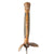 Original U.S. Civil War Era Model 1860 Army Staff and Field Officer Sword Presented to Lt. John J. Berry 1st Regt. NJSNG with Etched Blade & Sharkskin Grip Original Items