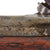 Original British 3rd Model P-1856 Enfield Tower Two Band Percussion Short Rifle with Figured Stock and Excellent Bore - dated 1858 Original Items