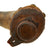 Original U.S. Revolutionary War Era Powder Horn with Remnant of Leather Strap & Original Wooden Plug Original Items